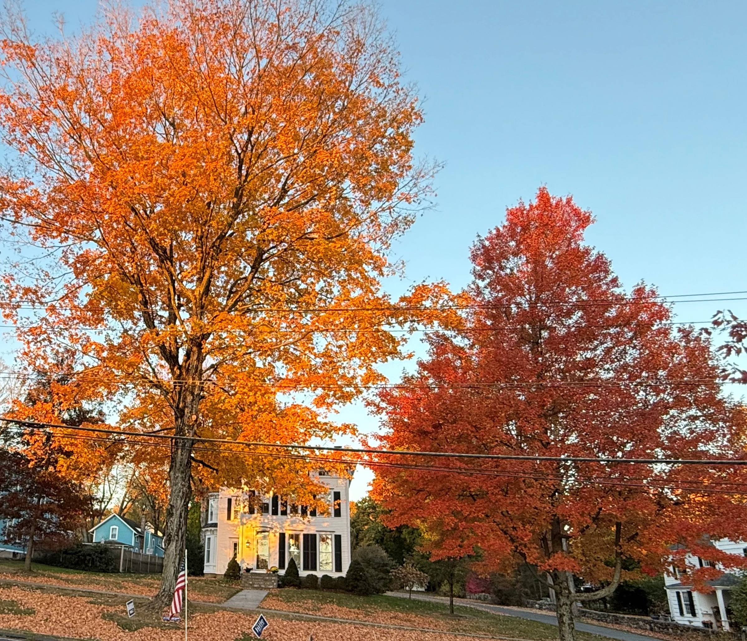 Downtown Ridgefield - Replanting Ridgefield - Copy
